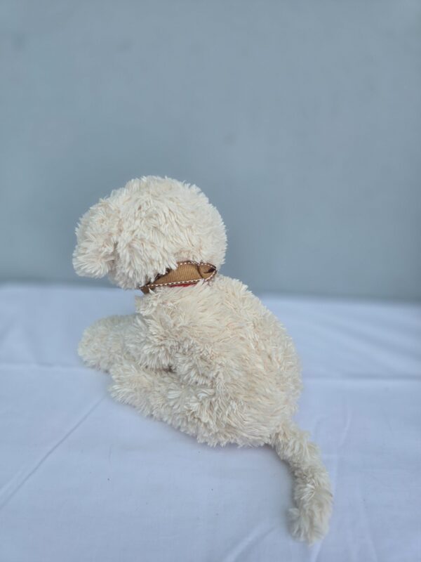 Fluffy American dog - Image 2