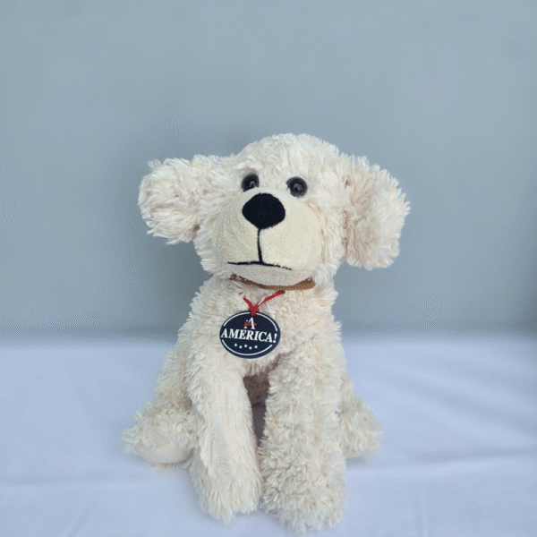 Fluffy American dog