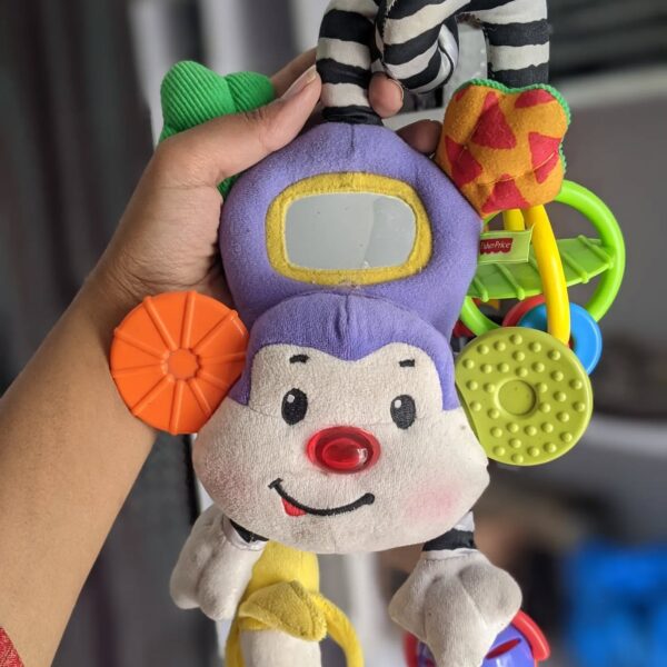Monkey hanging
