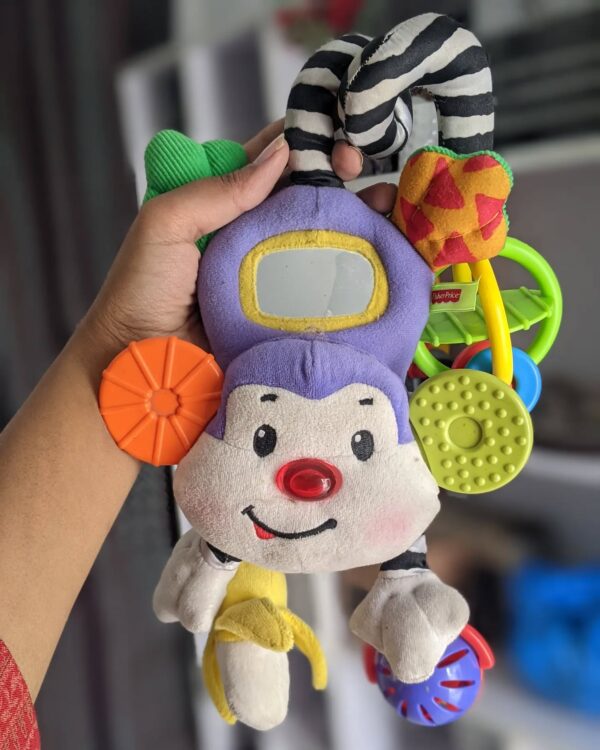 Monkey hanging