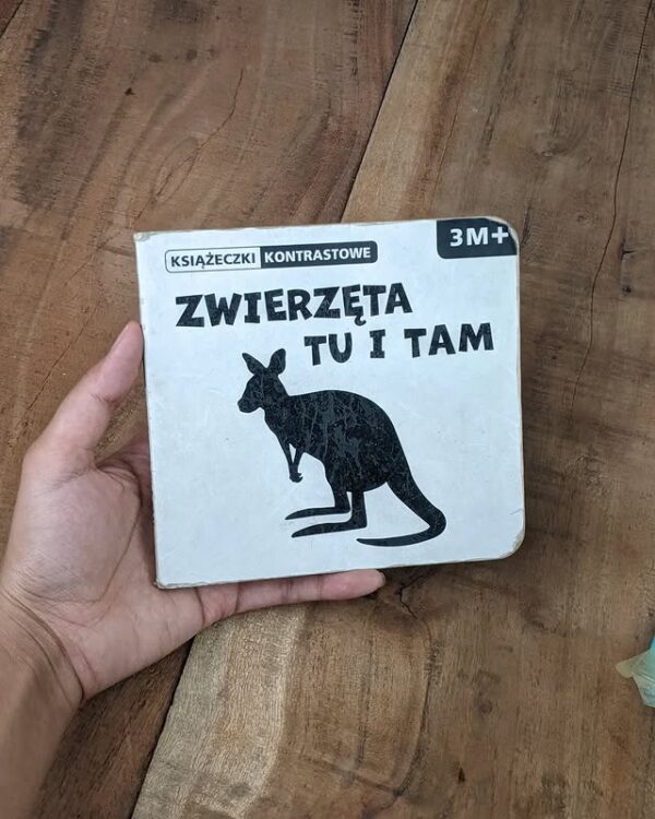 Polish Animal Book for Kids