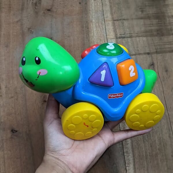 Counting Turtle