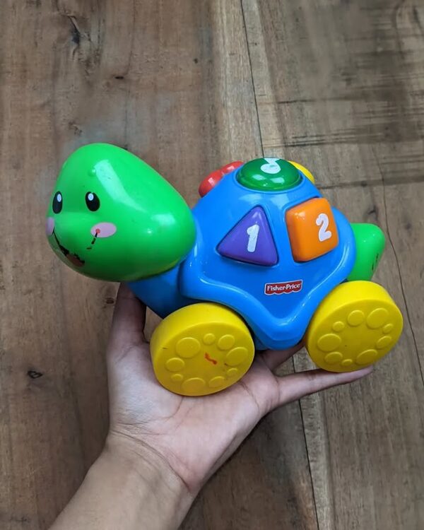 Counting Turtle