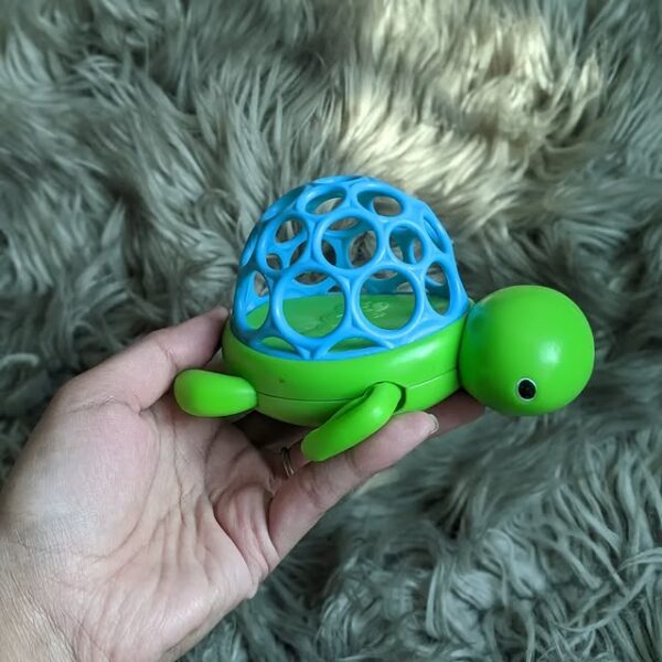O ball turtle
