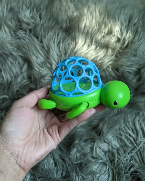 O ball turtle