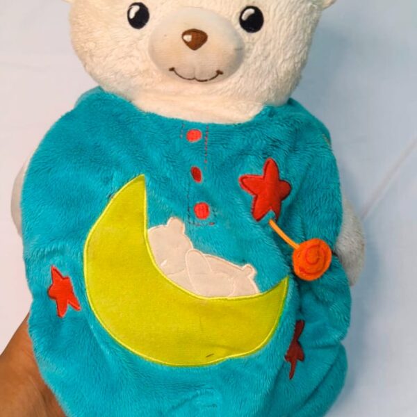 Invertible 2 in 1 teddy bear