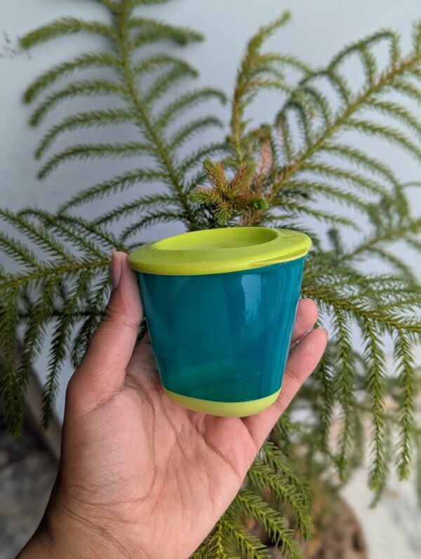 Tomme Tippee weaning pot