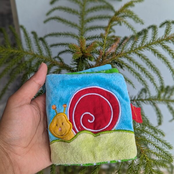 The snail