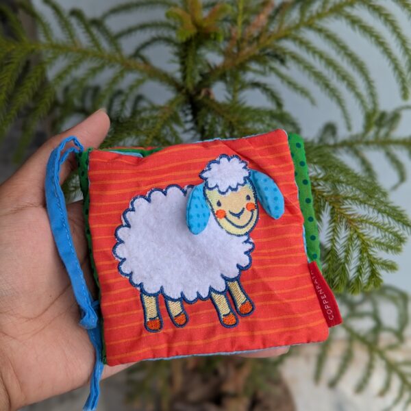 The sheep