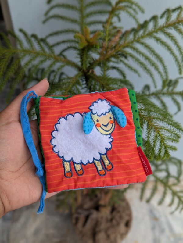 The sheep
