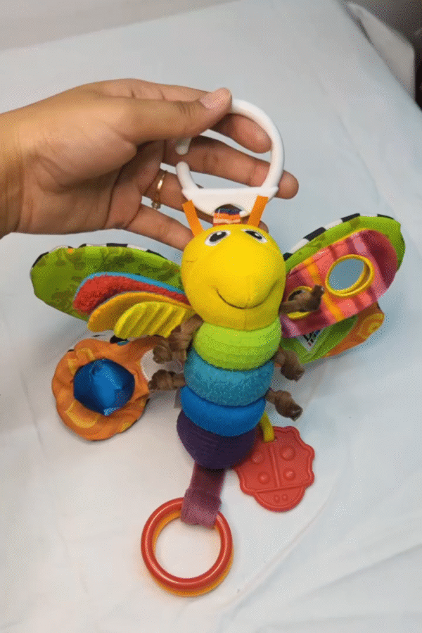 Butterfly rattle