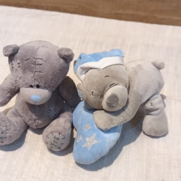 Night time Teddie's pack of 2