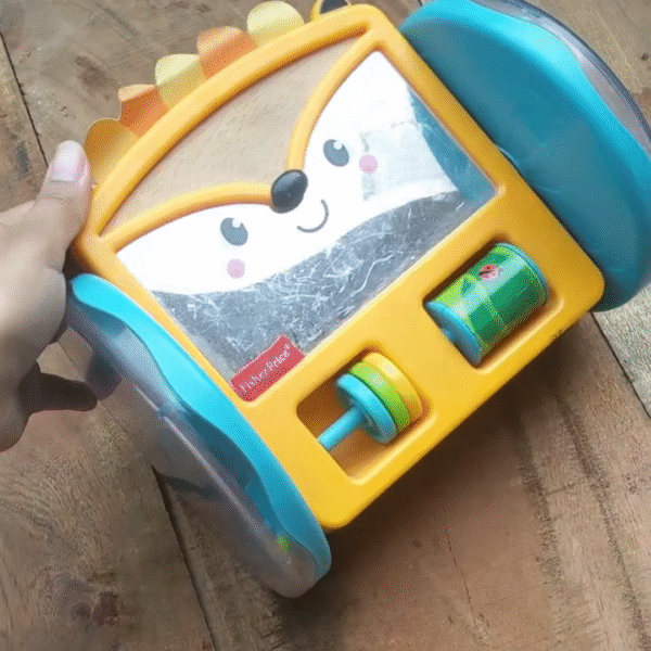 Fisher-Price Play & Crawl Hedgehog Mirror