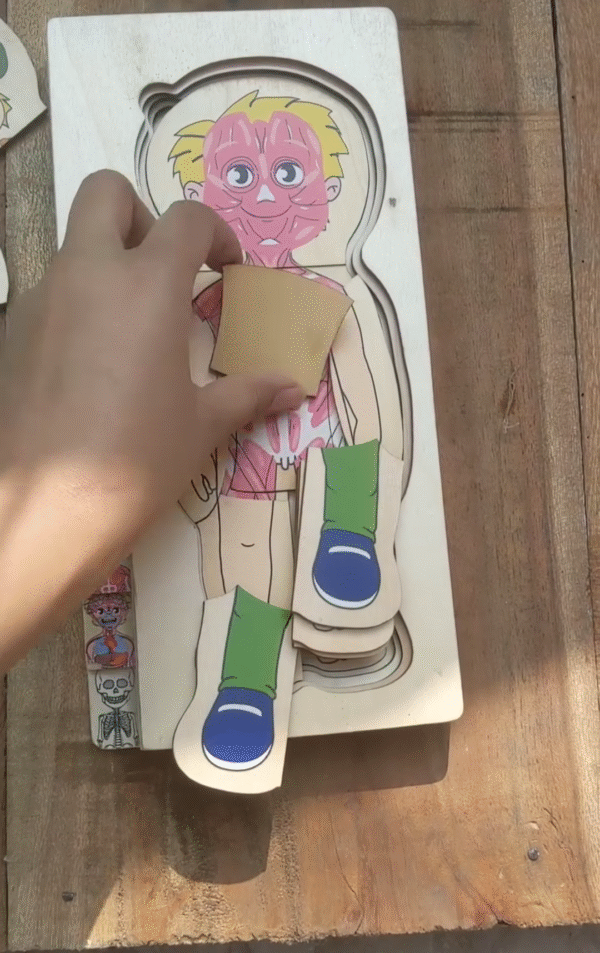 Human Anotomy puzzle - Image 3
