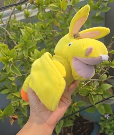 Flying donkey