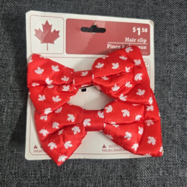 Hair pins - Pack of 2