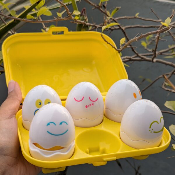 Eggs shape sorter