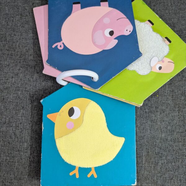 Large Animals sensory cards