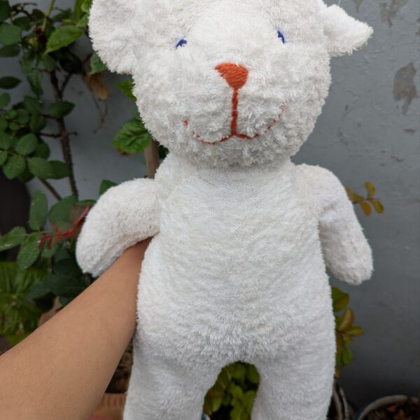 White teddy bear , Large
